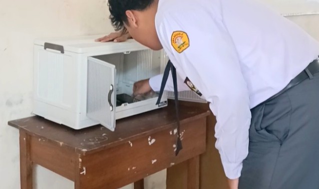 sinergi3
